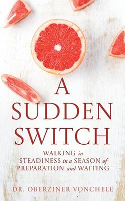 Picture of A Sudden Switch