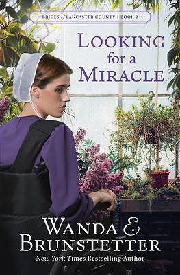 Picture of Looking for a Miracle