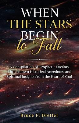 Picture of When the Stars Begin to Fall