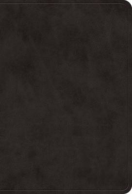 Picture of ESV Value Large Print Compact Bible (Trutone, Black)