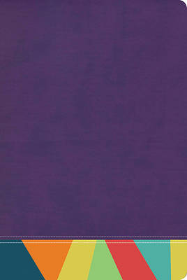 Picture of Rvr 1960 Biblia de Estudio Arco Iris, Morado/Multicolor