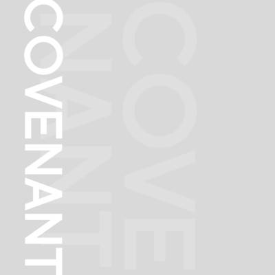 Picture of Covenant: Woman Wisdom and the Wise Wife Video
