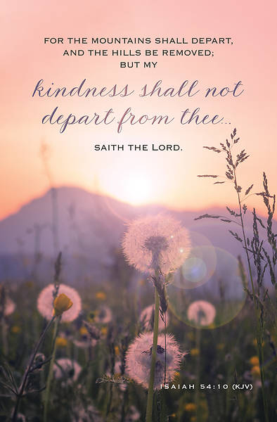 Picture of Kindness Shall Not Depart Bulletin