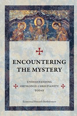 Picture of Encountering The Mystery