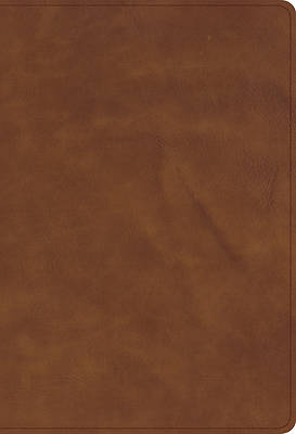 Picture of CSB Thinline Bible, Optimal Type, Holman Handcrafted Collection, Marbled Chestnut Premium Calfskin