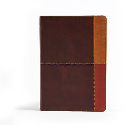 Picture of NIV Rainbow Study Bible, Cocoa/Terra Cotta/Ochre Leathertouch, Indexed