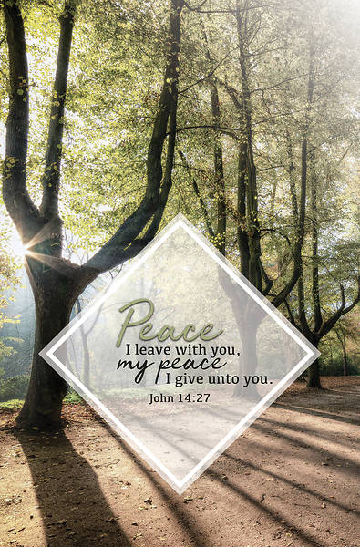 Picture of My Peace Funeral Regular Size Bulletin