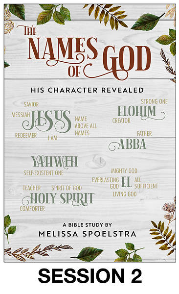 Picture of The Names of God - Women's Bible Study Streaming Video Session 2