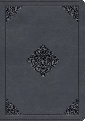 Picture of ESV Large Print Wide Margin Bible (Trutone, Slate Blue, Ornament Design)