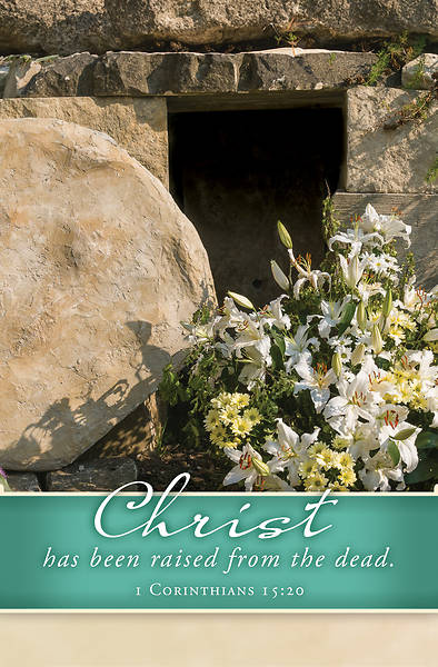 Picture of Word Alive! Weekly Bulletin without Message-Easter, Letter Size (Package of 25)