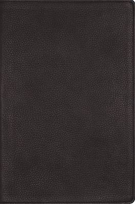 Picture of Nrsvue, Single-Column Reference Bible, Genuine Calfskin Leather, Black, Art Gilded Edges, Comfort Print