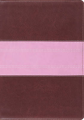 Picture of English Standard Version Study Bible