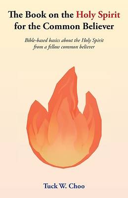 Picture of The Book on the Holy Spirit for the Common Believer
