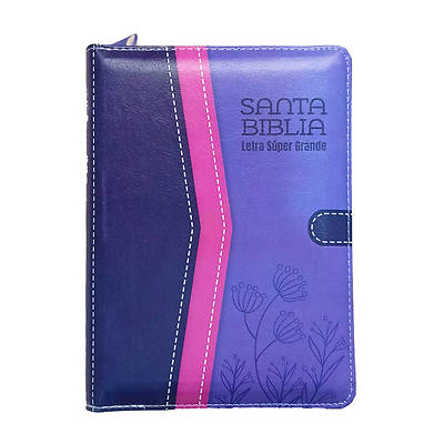 Picture of Santa Biblia