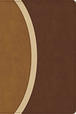 Picture of CSB Rainbow Study Bible, Brown Leathertouch (Limited Edition)