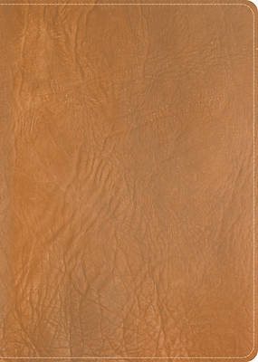 Picture of CSB He Reads Truth Bible, Holman Handcrafted Collection, Saddle Brown Premium Calfskin