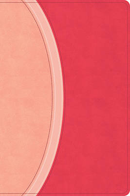 Picture of CSB Rainbow Study Bible, Pink Leathertouch (Limited Edition)