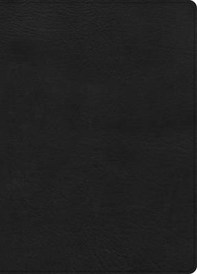 Picture of CSB Study Bible, Large Print, Digital Study Edition, Black Leathertouch
