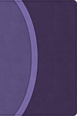Picture of CSB Rainbow Study Bible, Purple Leathertouch (Limited Edition)