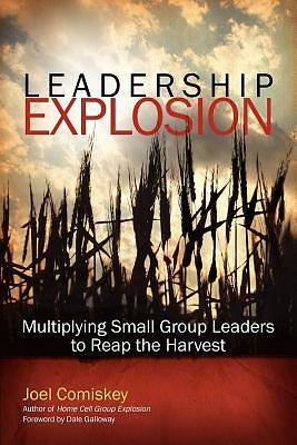 Picture of Leadership Explosion