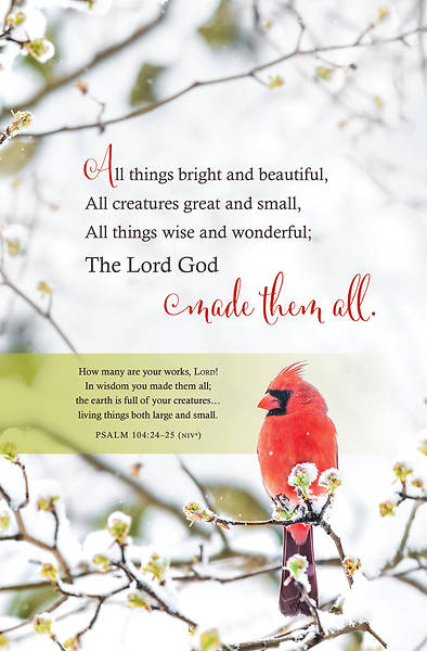 Picture of Bright and Beautiful Winter General Regular Size Bulletin
