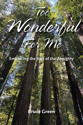 Picture of Too Wonderful for Me