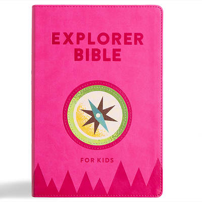 Picture of KJV Explorer Bible for Kids, Bubble Gum Leathertouch