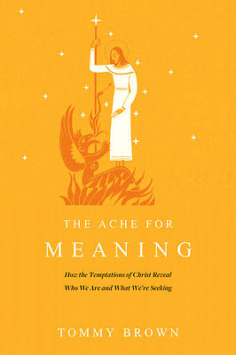 Picture of The Ache for Meaning