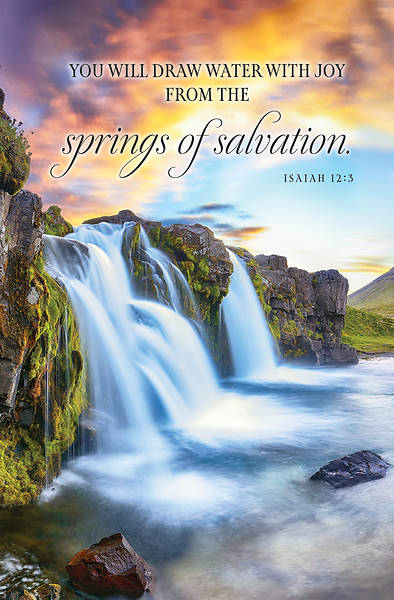 You Will Draw Water with Joy Regular Size Bulletin