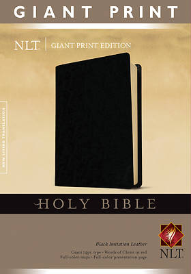 Picture of New Living Translation Holy Bible