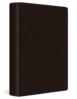 Picture of ESV Giant Print Bible (Trutone, Deep Brown)