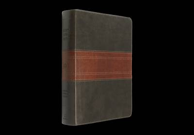 Picture of ESV Men's Study Bible (Trutone, Forest/Tan, Trail Design)