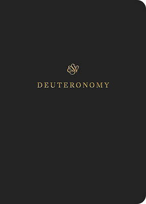 Picture of ESV Scripture Journal