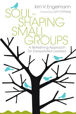 Picture of Soul-Shaping Small Groups