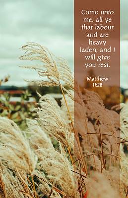 Picture of Funeral Bulletin All Ye PKG 100