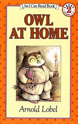 Picture of Owl at Home