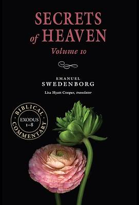 Picture of Secrets of Heaven Volume 10