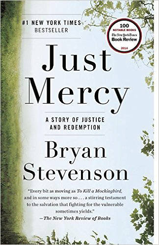 Picture of Reader's Guide for Just Mercy PDF Download