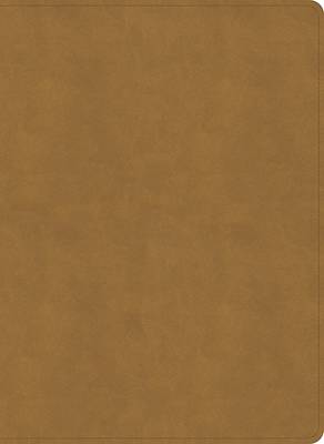 Picture of NASB Study Bible, Camel Suedesoft Leathertouch