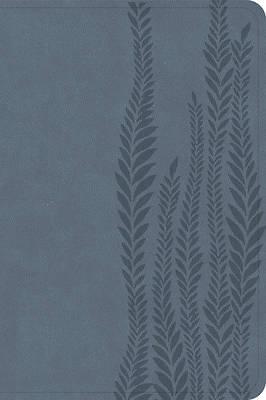 Picture of CSB Large Print Compact Reference Bible, Digital Study Edition, Slate Leathertouch