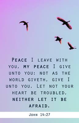 Picture of My Peace Funeral Bulletin PKG 100