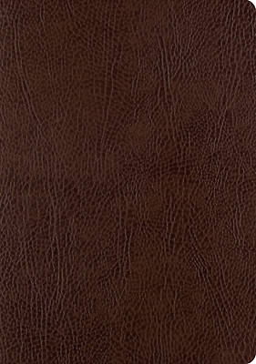 Picture of ESV Single Column Journaling Bible, Large Print (Mocha)