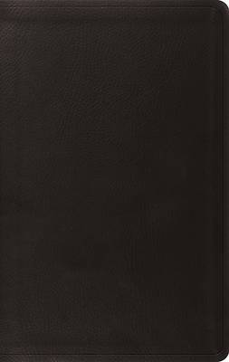 Picture of ESV Value Thinline Bible, Red Letter (Trutone, Black)