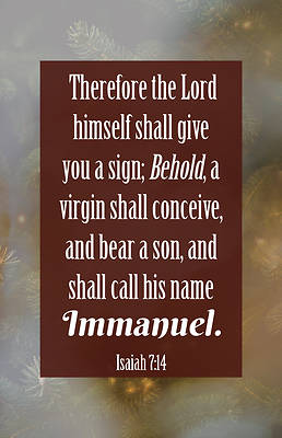 Picture of PKG 100 Behold Christmas Bulletin