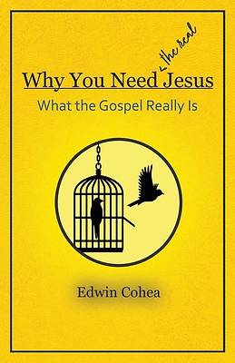 Picture of Why You Need (the real) Jesus