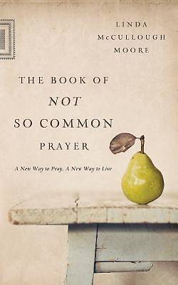 Picture of The Book of Not So Common Prayer - eBook [ePub]
