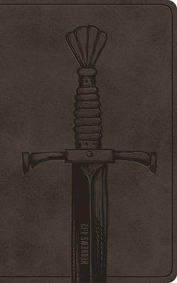 Picture of ESV Vest Pocket New Testament with Psalms and Proverbs, Red Letter (Trutone, Silver, Sword Design)