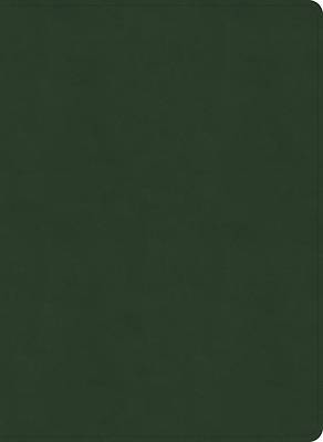 Picture of NASB Study Bible, Olive Leathertouch, Indexed