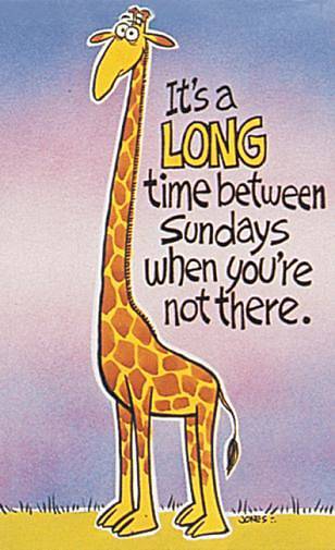 Picture of Giraffe Absentee Postcard - Pack of 25