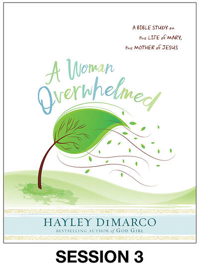 Picture of A Woman Overwhelmed - Women's Bible Study Streaming Video Session 3